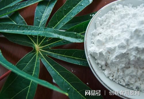 食用木薯變性淀粉的發(fā)展與應(yīng)用
